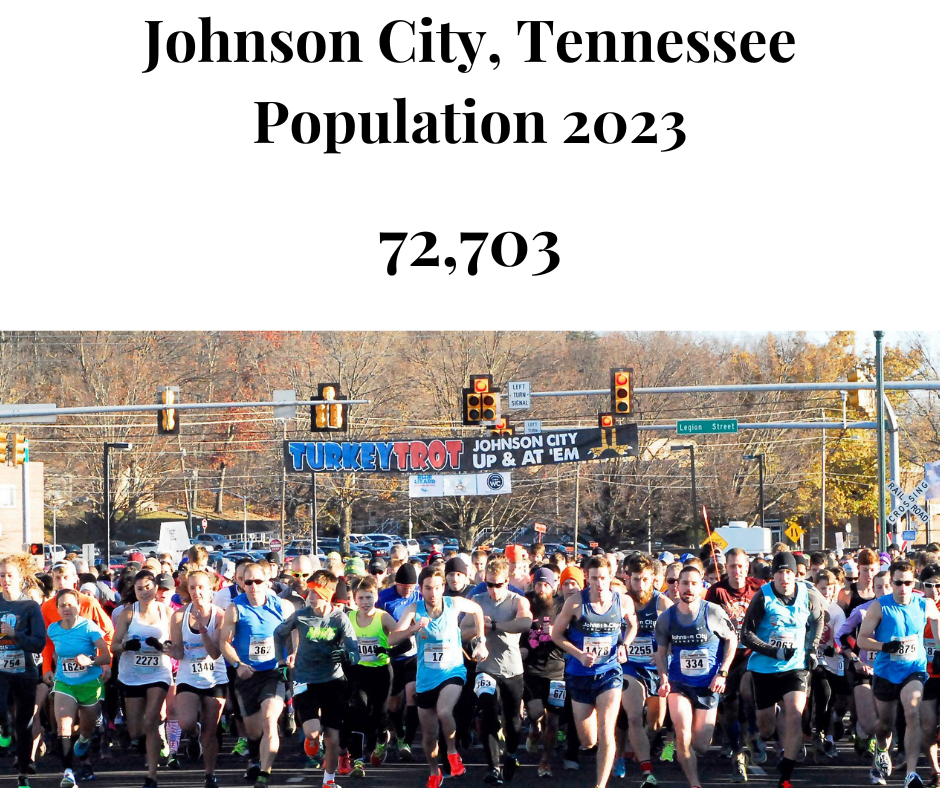 Johnson City, TN population statistics