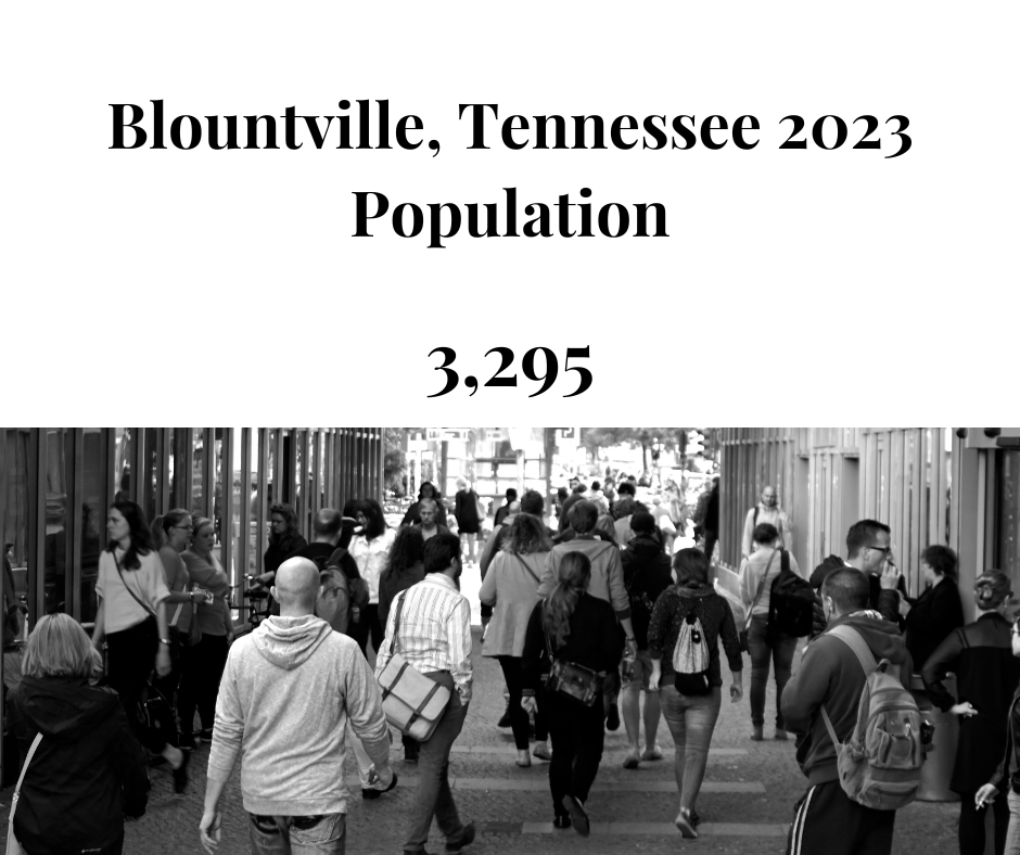 Blountville, TN population statistics